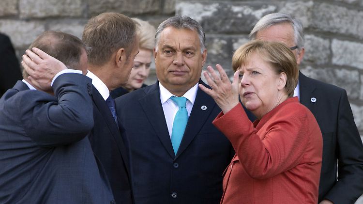 Der ungarische Präsident Orban (Mitte, hier mit Kanzlerin Merkel in Tallin) will einen "illiberalen" Staat.