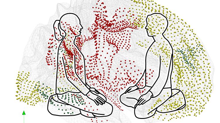 Training im Verstehen der Gefühle einerseits und der Gedanken anderer Menschen andererseits führt zu strukturellen Veränderungen in zwei verschiedenen Gehirnnetzwerken.
