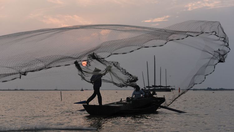 Morgendliches Fischen nach Nachrichten ...