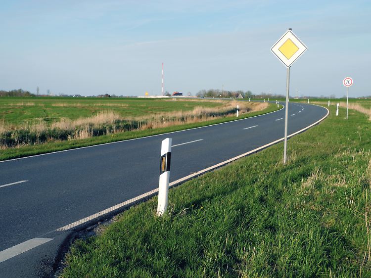 Eine schöne, neue Straße - leider am falschen Ort, im Vogelschutzgebiet.