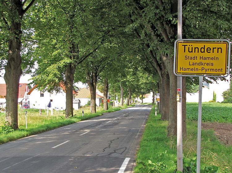 Die Stadtverwaltung hätte dem Gutachter sagen müssen, welche Bäume er begutachten soll. Durch den ungenauen Auftrag nahm er sich einfach alle vor.
