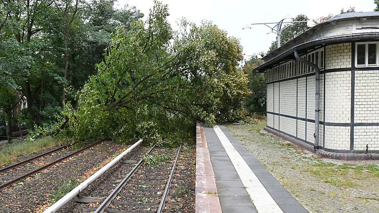Umfangreiche Aufräumarbeiten nach dem Sturm: Umstürzende Bäume blockierten vielerorts Gleise oder beschädigten Oberleitungen.