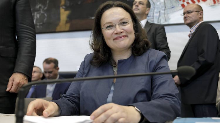 SPD-Fraktionschefin Andrea Nahles bewertet die Zusammenarbeit mit der Linken auf Bundesebene anders als in einer möglichen Koalition in Niedersachsen.