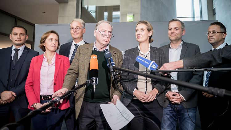 Allein die AfD-Parlamentarier im Bundestag erhalten jährlich rund 38 Millionen Euro. 