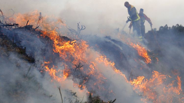 Spanische Feuerwehrleute kämpfen in Galizien gegen die Flammen.