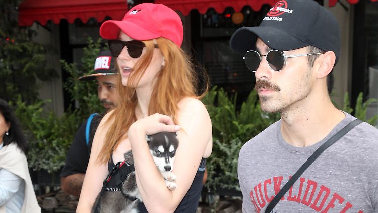 Sophie Turner und Joe Jonas haben bereits einen gemeinsamen Hund, jetzt sind die beiden verlobt.
