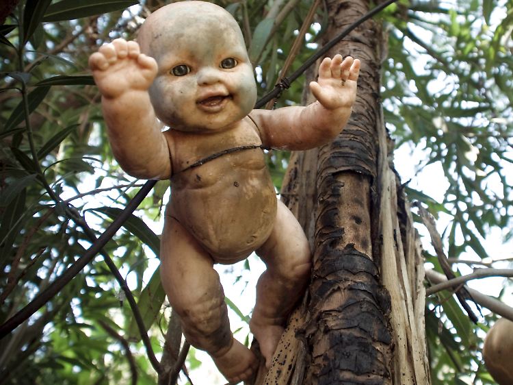 Tote Puppenaugen: Auf der gesamten Insel sind unzählige Spielzeugpuppen in den Bäumen aufgehängt.