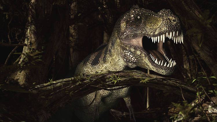 Den heute noch existierenden Verwandten von T. Rex begegnen wir täglich, fast überall.