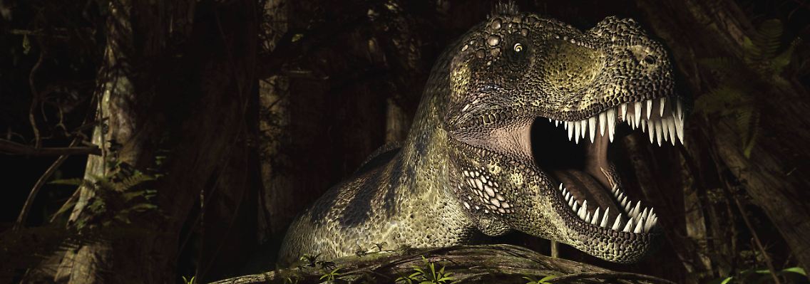 Den heute noch existierenden Verwandten von T. Rex begegnen wir täglich, fast überall.