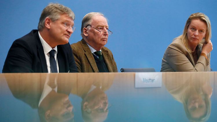 Jörg Meuthen, Alexander Gauland und Dana Guth erklären das AfD-Ergebnis. Der Landeschef der Partei ist in Hannover geblieben.