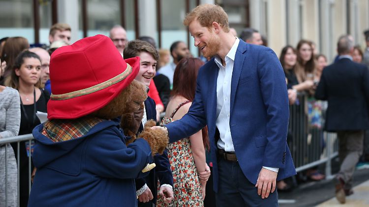 Hallo Paddington, schön, dich kennenzulernen.