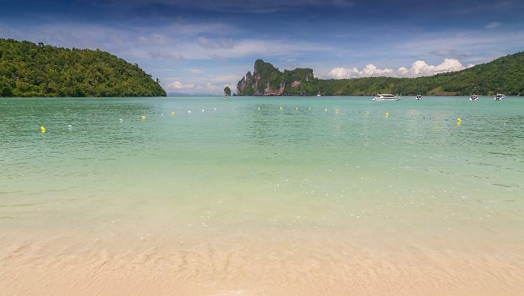 Fast 140.000 Zigarettenstummel wurden auf einem zwei Kilometer langen Strandabschnitt der Insel Phuket gefunden.
