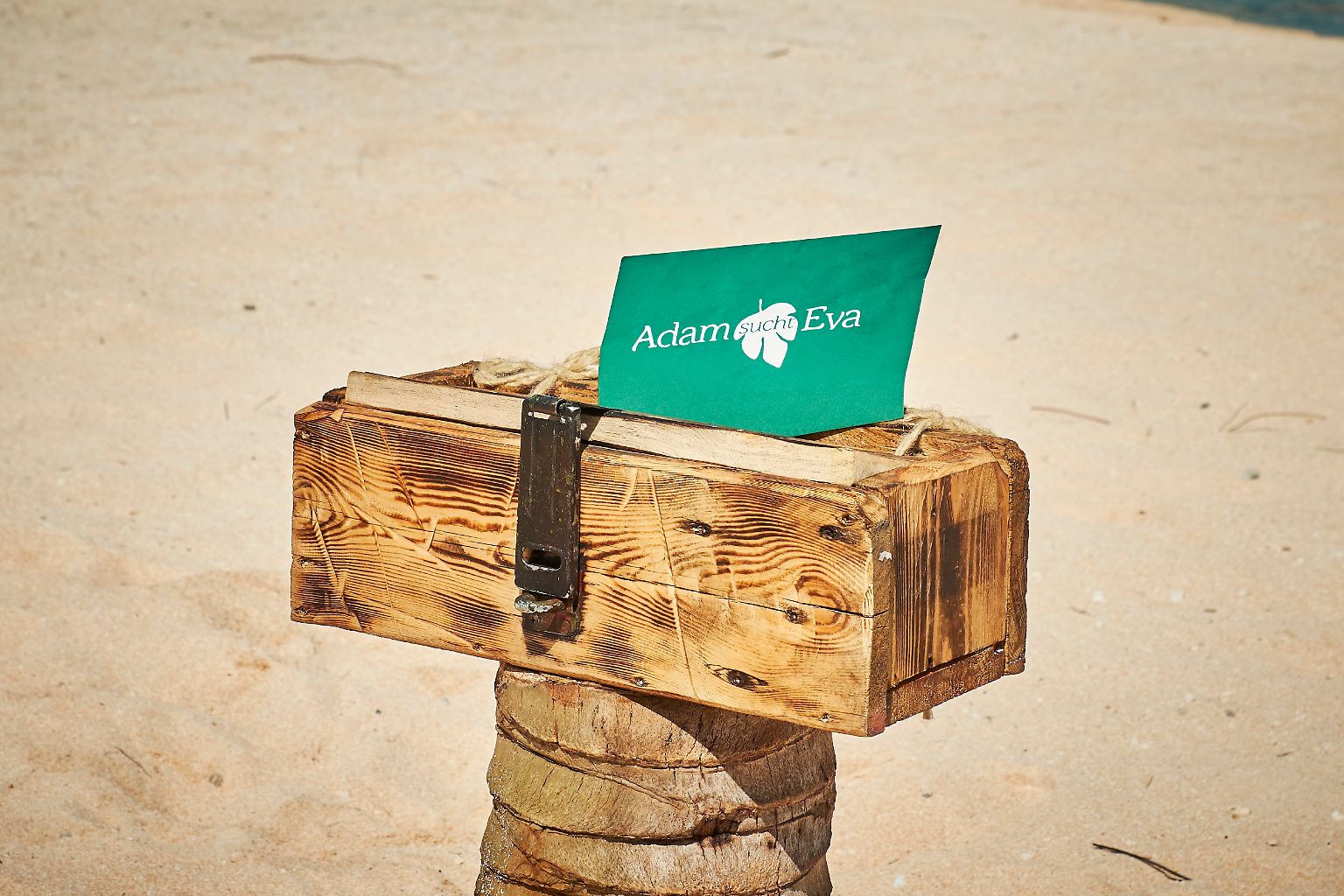 Zeigst Du Mir Deins Zeig Ich Dir Meins Die Adams suchen wieder Evas: Zeigst du mir deins, zeig ich dir meins