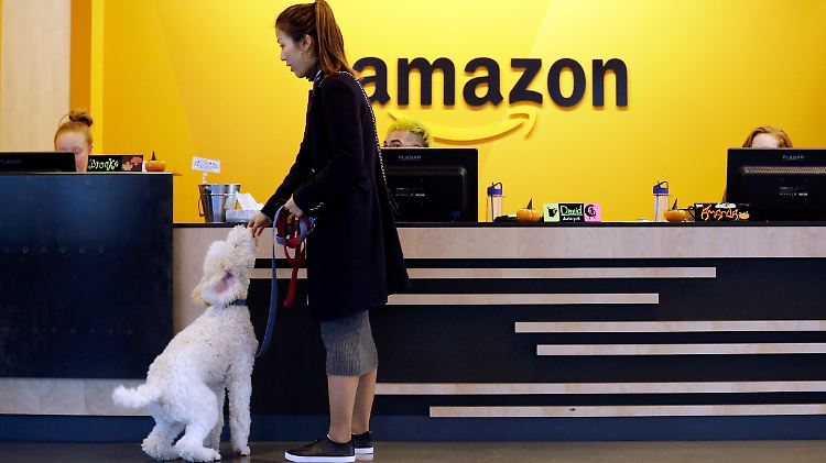 Dem Internetriesen Amazon erfüllen Amerikas Großstädte so manchen Extrawunsch.