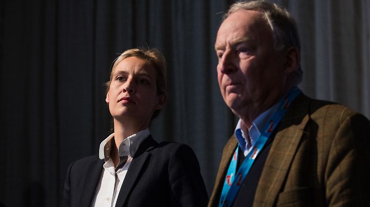 Wirken vereint, sind aber durch ideologische Gräben getrennt: Die AfD-Fraktionsvorsitzenden Alice Weidel und Alexander Gauland.