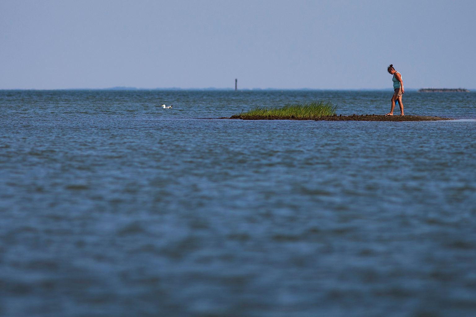 Die Bewohner von Tangier Island im US-Bundesstaat Virginia leben in einer traumhaften Landschaft.