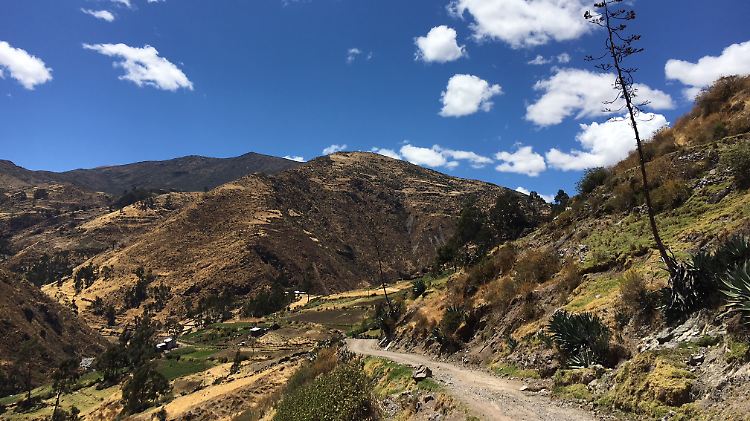 Fast schon blühende Landschaften finden die Reisenden auf dem Weg nach Huancayo.