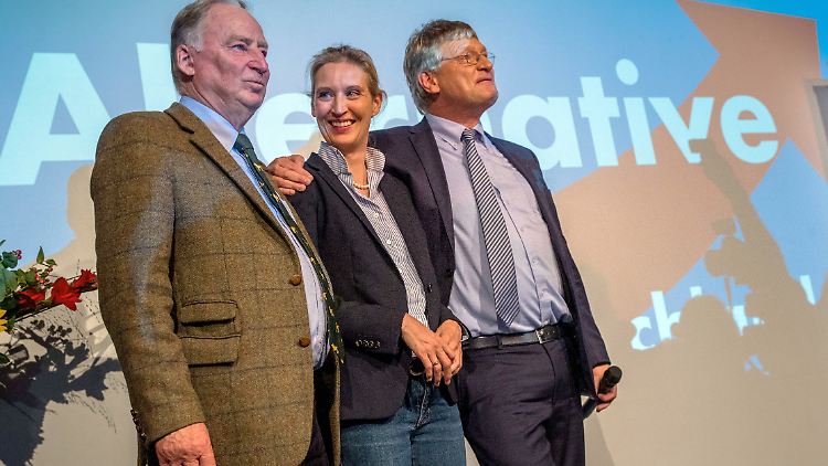 Die AfD verändert die deutsche Politik: die Fraktionsvorsitzenden Alexander Gauland und Alice Weidel mit Parteichef Jörg Meuthen (v.l.).