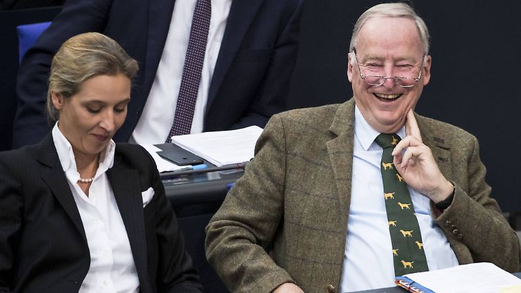 Fraktionsführer in guter Laune: Alice Weidel und Alexander Gauland im Bundestag