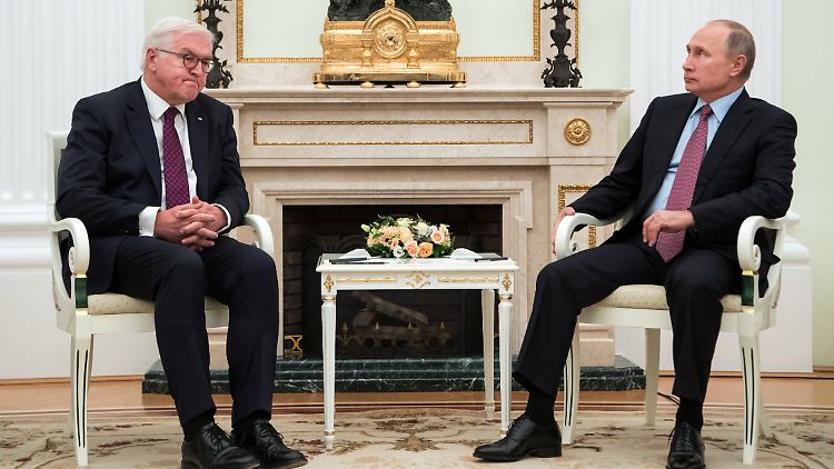 Wollen nach "Wegen aus der Negativspirale" suchen: Bundespräsident Steinmeier und Kremlchef Wladimir Putin.