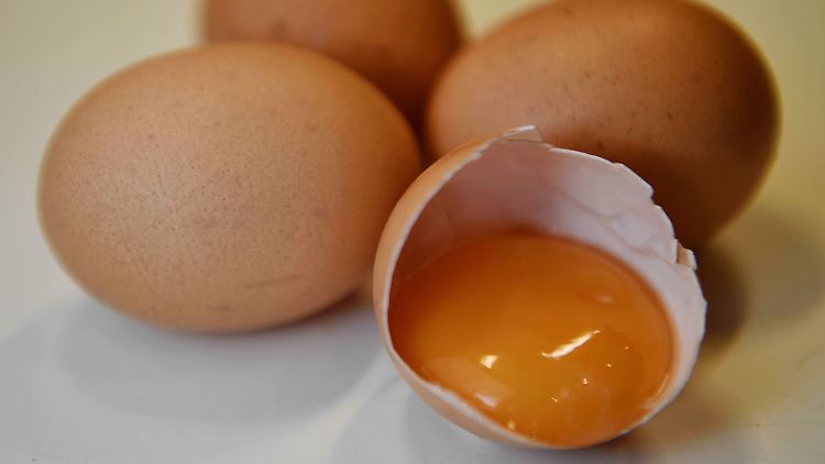 Das Fipronil könnte durch die unerlaubte Reinigung von Ställen mit dem Mittel in die Eier gelangt sein.