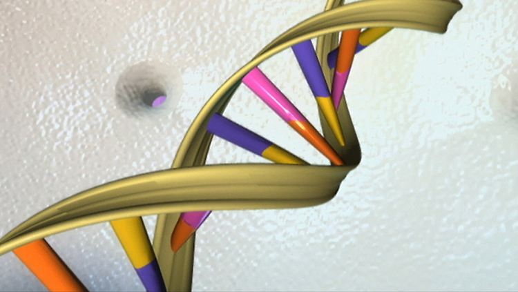 Eine Doppelhelix mit DNA-Abschnitten.