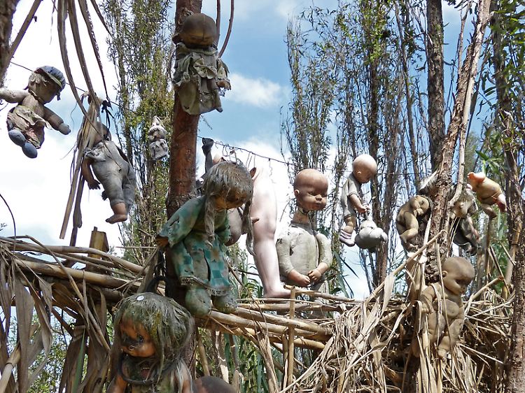 Verstümmelt und mit verrenkten Gliedern: Auf der Isla de las Muñecas hängen überall Puppen. Sie sollen einen bösen Geist vertreiben.