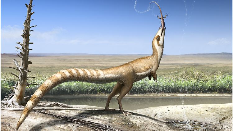 Lebte vor etwa 130 Millionen Jahren: der Sinosauropteryx.