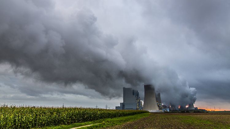 Der Streit um den Ausstieg aus der Braunkohle beschäftigt derzeit auch die Jamaika-Parteien.