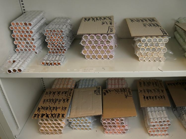 Ausreichend Kleingeld für den privaten Gebrauch: Diese Münzrollen lagern sicher in einem Tresor in Wien.