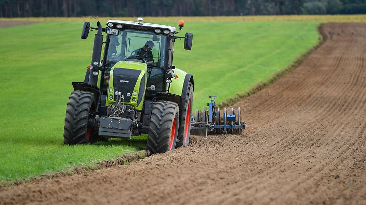 Industrielle Landwirtschaft ist mitverantwortlich für das Artensterben. Die Grünen fordern eine Wende.