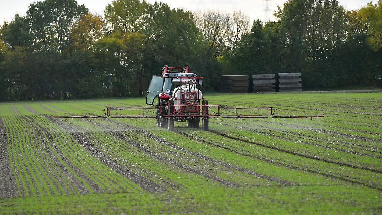 Glyphosat ist ein beliebtes Pestizid in der Landwirtschaft. Die Weltgesundheitsorganisation stuft es als wahrscheinlich krebserregend ein.