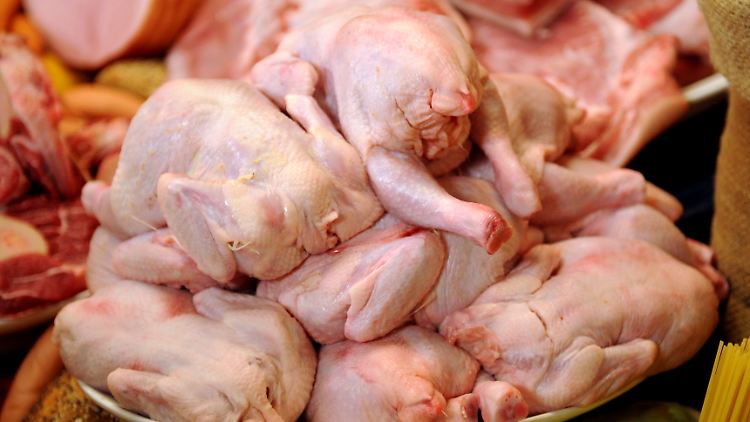 Rohes Geflügel ist in der Küche eine Quelle für Infektionen, wenn nicht hygienisch damit umgegangen wird. In Deutschland sind Campylobacter-Bakterien auf dem Vormarsch, die auf der Haut von Geflügel zu finden sein können. Die Erreger lösen Erbrechen und Durchfall aus.