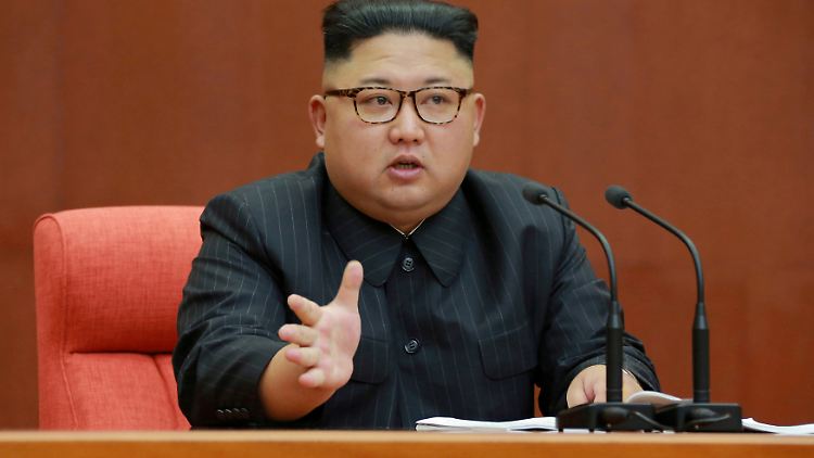 Welche Rolle spielte Nordkoreas Machthaber Kim Jong Un bei dem Mordkomplott?