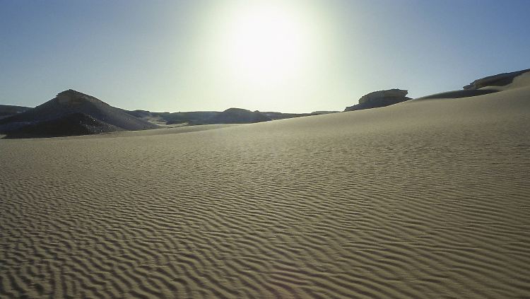 Die Sahara besteht nur zu einem Fünftel aus Sand. Der größte Teil sind Felsen oder Stein. Doch alle 100.000 Jahre wird die Wüste grün.