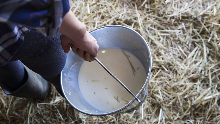 Die Milch, die die Kinder im Rahmen der Studie trinken, ist frei von krankmachenden Keimen und ansonsten so belassen wie Rohmilch.