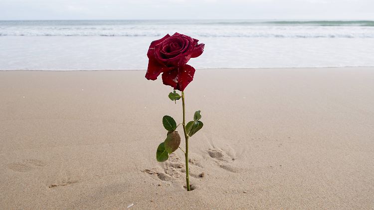Die achte Staffel vom "Bachelor" wird aktuell in Miami gedreht.