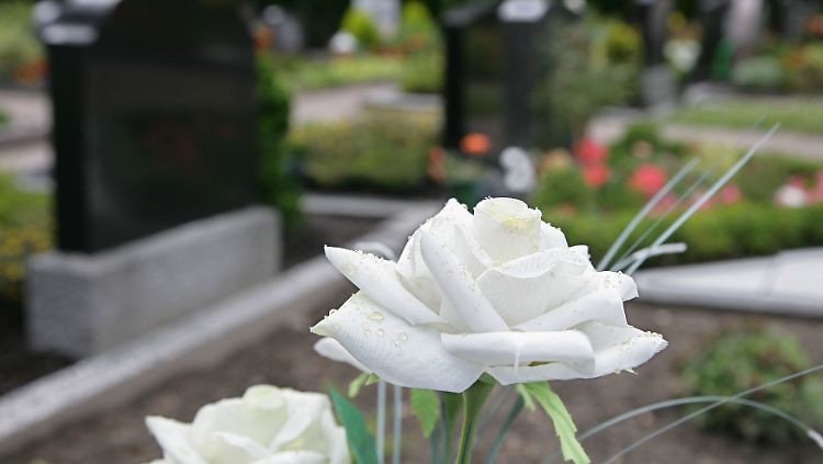 Wegen feuchter Böden, wie auf dem Friedhof im ostfriesischen Ostrhauderfehn, verwesen viele Tote während der 15- bis 30-jährigen Ruhezeit für Gräber nicht vollständig und werden zu sogenannten Wachsleichen.