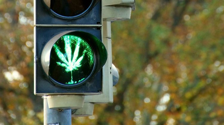 Die Ampel-Regierung will eine "kontrollierte Abgabe von Cannabis" einführen.