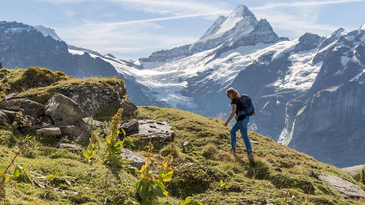 Aktivitäten in der Natur sind Teil des Gesundheitstourismus in Bayern.