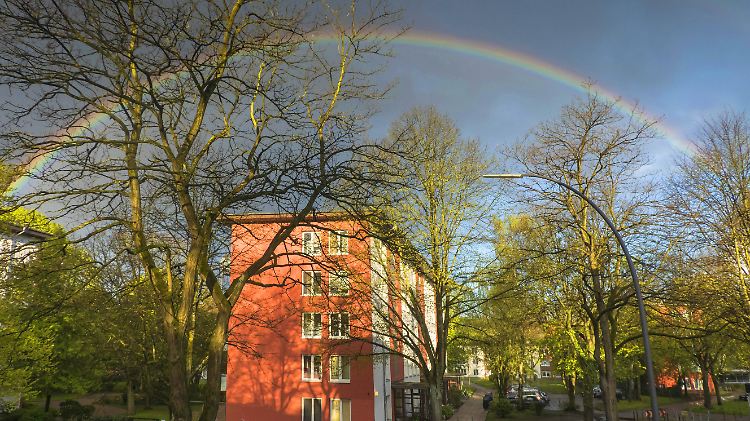Bäume in Städten erhöhen Luft- und Lebensqualität.