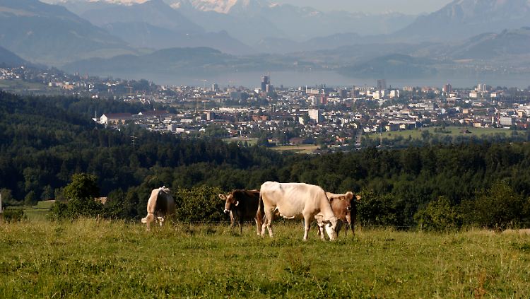 Das "Crypto Valley" Zug in der Schweiz.