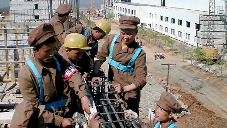 Nordkoreanische Arbeiter bauen eine Fabrik: Die Jobs im Ausland gelten trotz der harten Bedingungen als sehr begehrt.