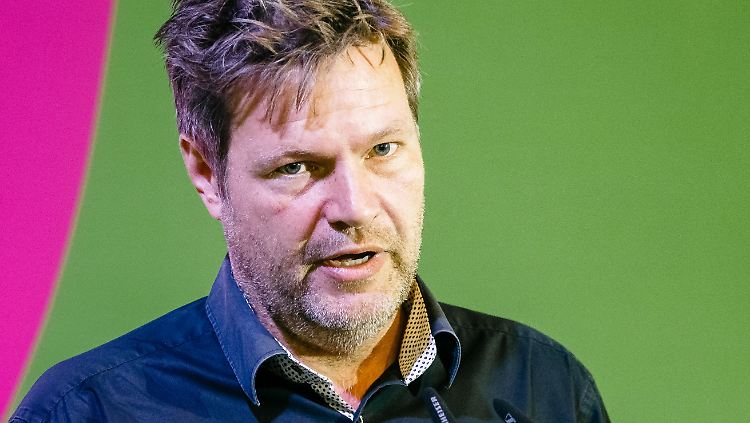 Robert Habeck im Oktober auf dem Landesparteitag der Grünen in Schleswig-Holstein