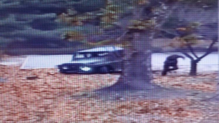 Auf dem Video ist zu sehen, wie der nordkoreanische Überläufer zu Fuß weiter flüchtet, nachdem sein Jeep stecken geblieben war. Kurz darauf verletzen ihn die Schüsse seiner Kameraden schwer.