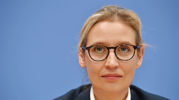 Weidel wartet auf einen Anruf aus Bellevue.