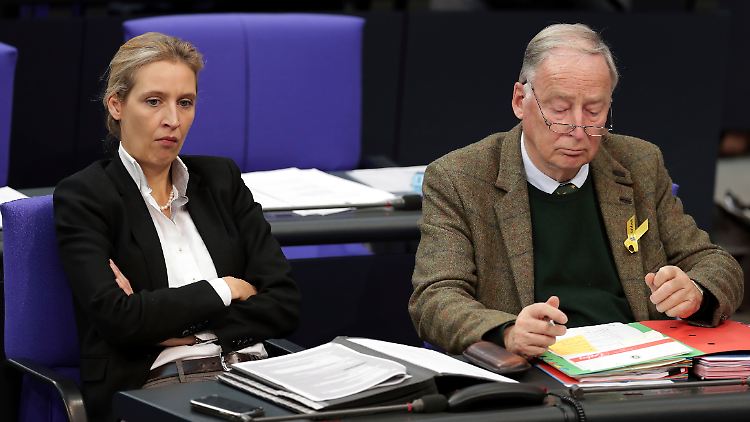 Sie konzentriert sich eher auf Wirtschafts- und Finanzfragen, er gilt als das außenpolitische Schwergewicht der AfD: die Fraktionsführer Alice Weidel und Alexander Gauland.