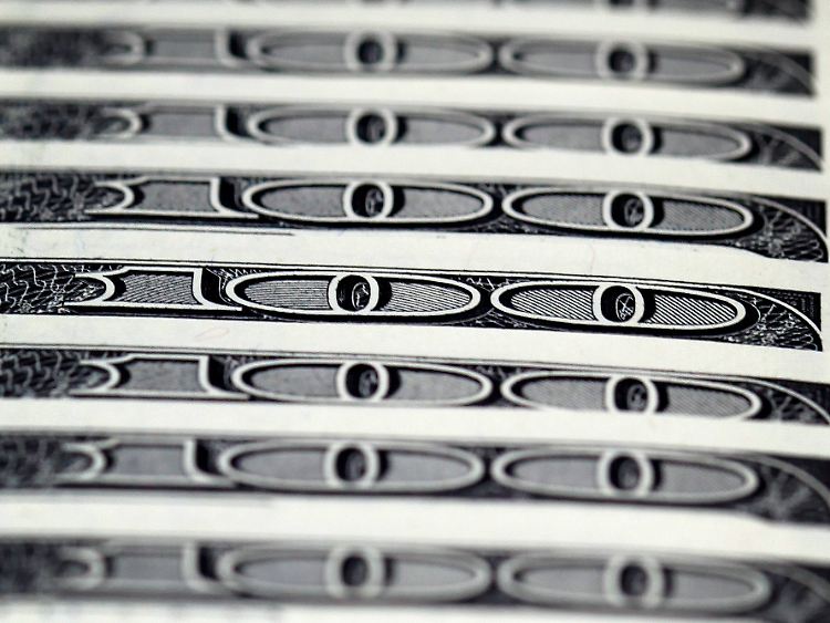 Vom Regen in die Traufe: In den Augen der Euro-Skeptiker scheinen die Probleme des Dollar-Raumes zu verblassen.