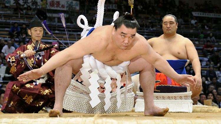 Eher impulsiv: Harumafuji.