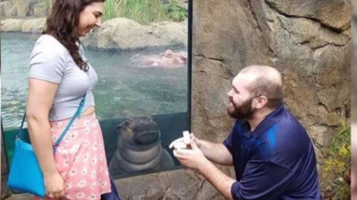 fiona.JPG